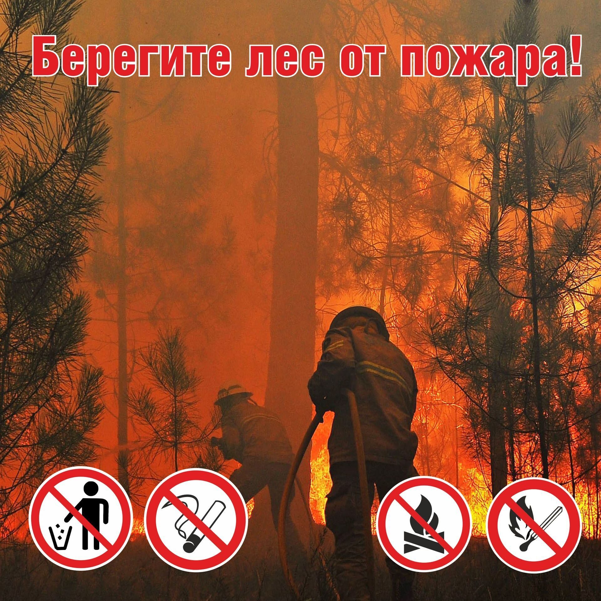 Берегите лес от пожара.